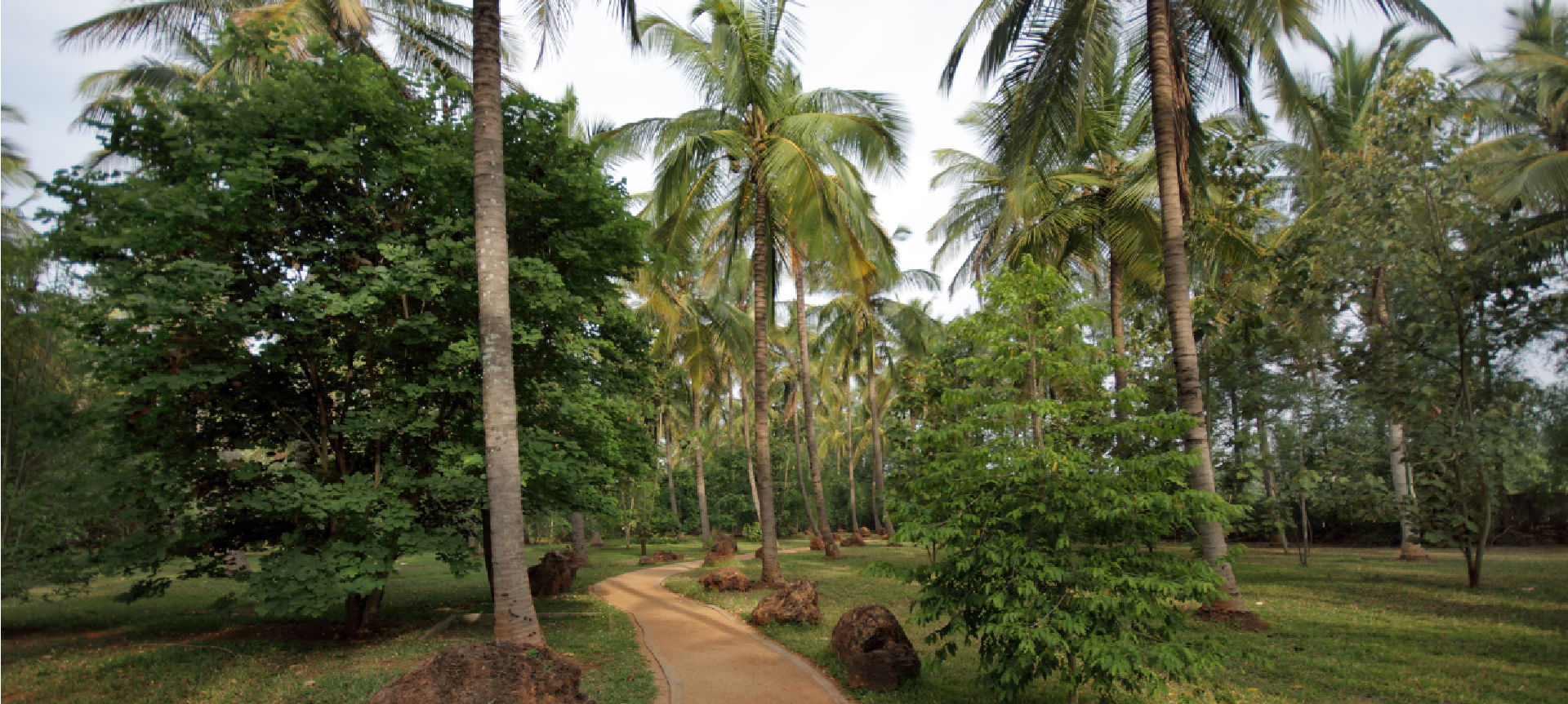 Soul of Ayu wellness estate concept